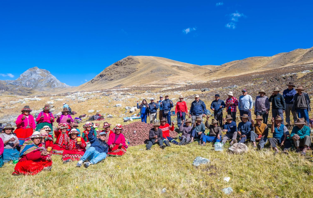 MUNICIPALIDAD DE ABANCAY VERIFICA AVANCES DE PROCOMPITE EN PRODUCCIÓN DE PAPA NATIVA EN LAMBRAMA